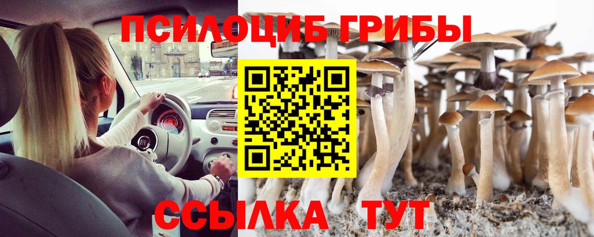 Петровск  Псилоцибиновые грибы Psilocybe  Вход с VPN 